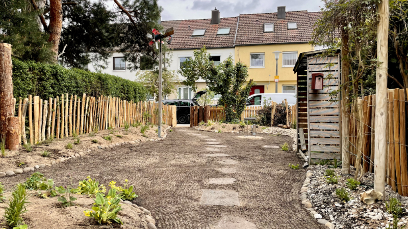 Read more about the article Natürlicher Reihenhausgarten, Erlangen – 2022